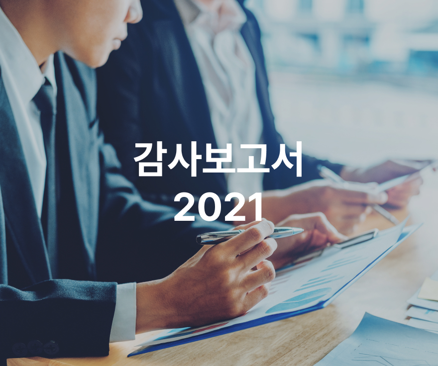 [부뜰정보시스템]감사보고서(2021년)