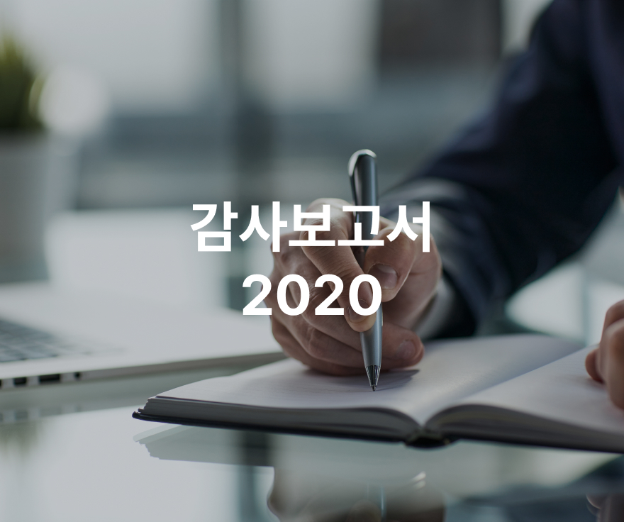 [부뜰정보시스템]감사보고서(2020년)